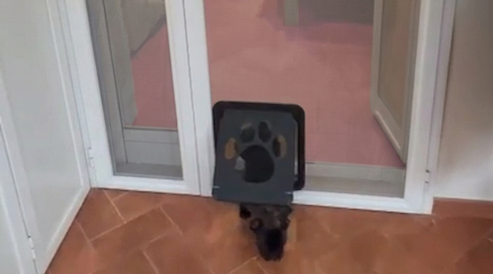 Parete sopravasca in vetro montata su vasca da bagno
