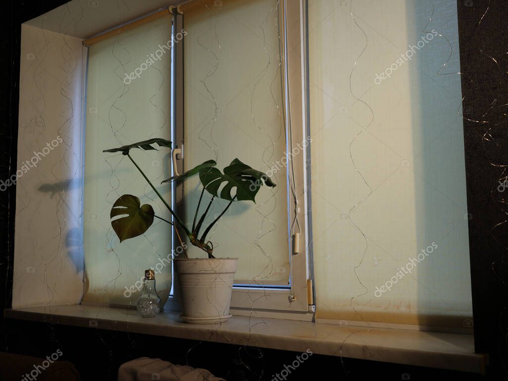 Tende per interno in soggiorno moderno in promozione